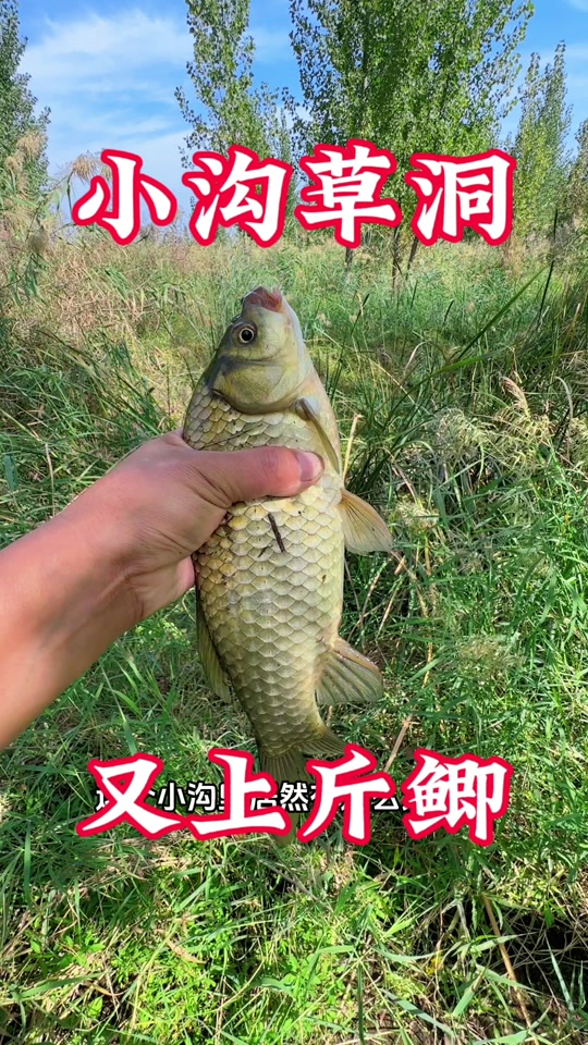 野釣者的匠心與自在 與小沈一同沉醉漁具世界